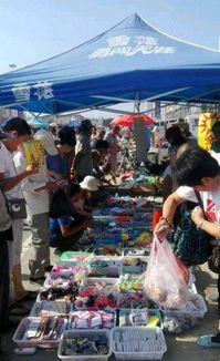 地攤一元日用百貨 實惠與便利的生活選擇